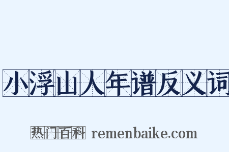 小浮山人年谱反义词是什么意思的图片